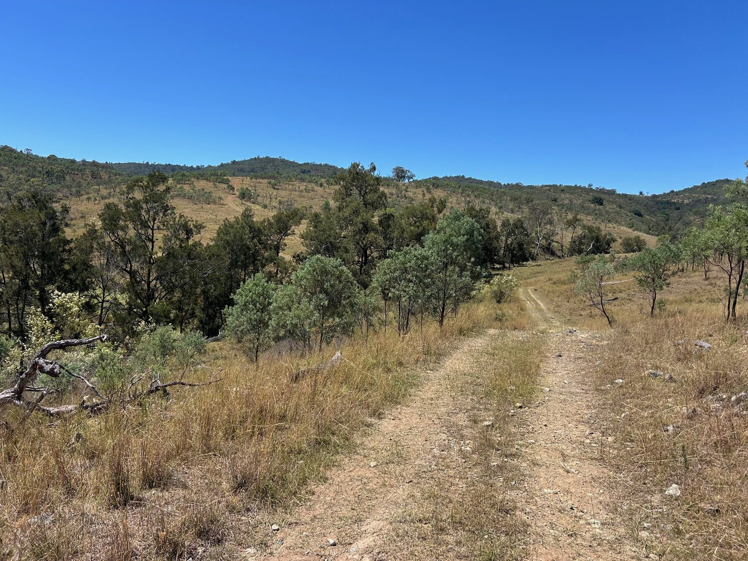 Guided 4WD heritage expedition