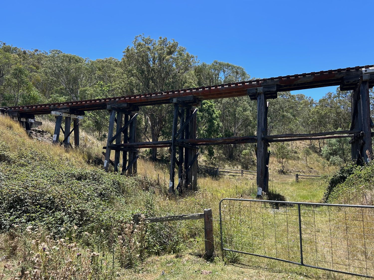 Cherry Gully Trestle Bridge