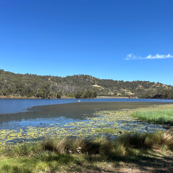 Lake with grassy shore, hills in background, under clear blue sky.